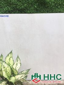 GẠCH LÁT NỀN 60X60 6023